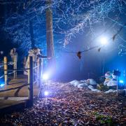 BeWILDerwood Presents Christmas sparkly light trail