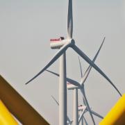 Wind turbines at East Anglia's biggest offshore wind project, East Anglia ONE