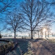 The National Trust has revealed its top Norfolk winter walks