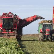 British Sugar is piloting a fair and transparent method of planning and communicating sugar beet deliveries
