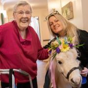 Daisy the miniature pony visited residents at Diamond House care home