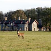 The Gunton Arms sits in a 1,000-acre deer park