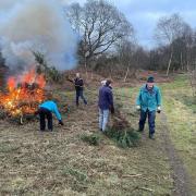 The Clan Trust has donated funds to Bryant's Heath, an area of dry and wet heathland owned by Felmingham Parish Council