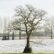 Some parts of Norfolk could see wintry showers today