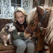 Jack Brock, the 18-year-old miniature pony, will feature on Love Your Weekend with Alan Titchmarsh