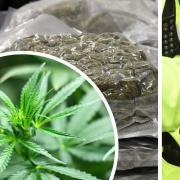 Lee and Kit Bristow admitted cannabis supply following police raid in Cromer