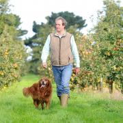 Andrew Jamieson at Drove Orchards, in Thornham