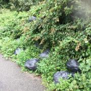 Two men were prosecuted for fly-tipping and dog fouling offences
