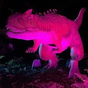 Head to ROARR! to experience dinosaurs at night
