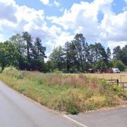 The donkeys' field at Little Massingham