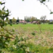 Farm land near the Norwich Road at Woodton