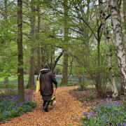 Norfolk Bluebell Wood Burial Park in Hainford is being opened to the public over the first May bank holiday weekend
