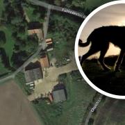 A company named after the mythical Black Shuck wants to turn two barns into a distillery and visitor centre