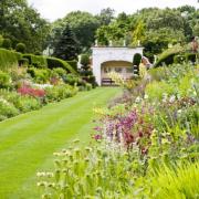 Experience the private garden at Norwich Samaritans' 60th year event