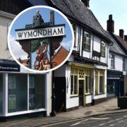 It is the first time the fete will be held in Wymondham