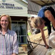 Suffolk shepherdess Tilly Abbott is set to become the first female sheep-shearer at the Royal Norfolk Show