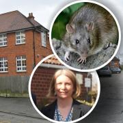 Rodent sightings led to the closure of Watton Junior School, headteacher Helen Kemp has confirmed