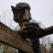 Thol the Giant at Holt Country Park