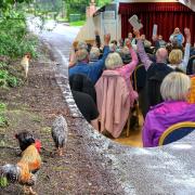 Villagers have voted to reduce some of the 100-strong flock of feral chickens at Snettisham