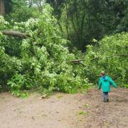 Holidaymakers say they are trapped at a West Runton campsite after a tree fell across the exit road