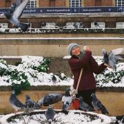 Student Summer Loh feeding the pigeons at the war memorial in Norwich