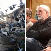 Contraceptives could be used to curb pigeon numbers at Norwich market
