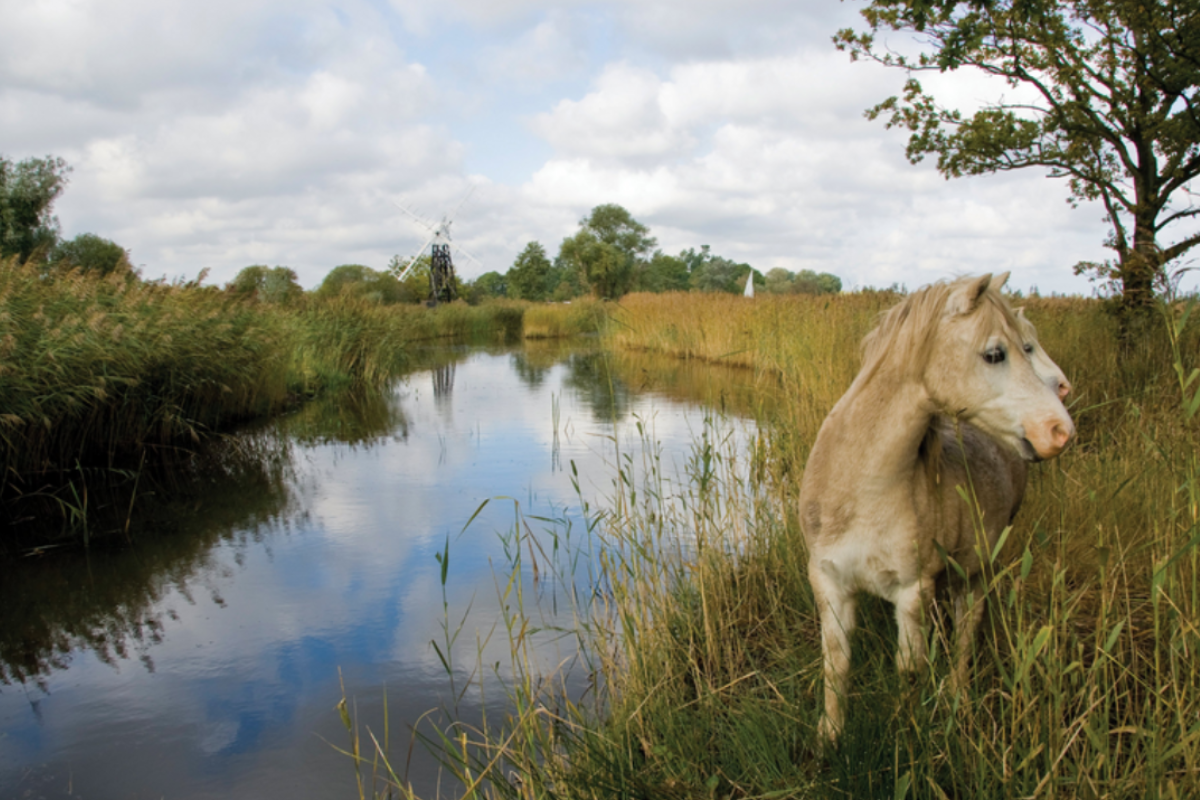 Why September is secretly the best month to visit the Norfolk Broads