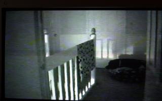The moment a family pet was startled by a poltergeist