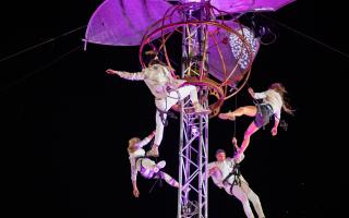 Unity by Gorilla Circus is an unmissable free performance taking place in Norwich city centre