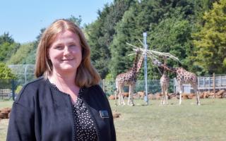 Claudia Roberts, former director of Banham Zoo and Africa Alive, has quit