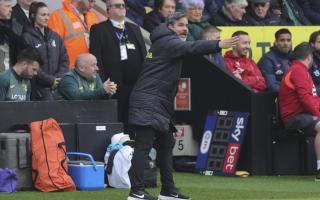 David Wagner says Norwich City will go strong against Birmingham