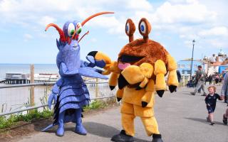 The Cromer Crab & Lobster Festival returns in May 2024 Picture: Denise Bradley